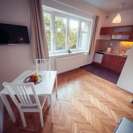 Studio Strazni Apartment *