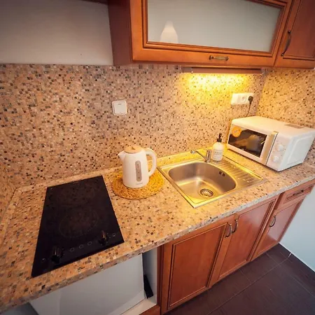 Appartement Studio Strazni *